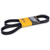 Contitech 6 PK 1570 Cinghie Trapezoidale