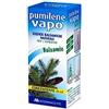 MONTEFARMACO OTC SpA PUMILENE VAPO CONCENTRATO 40 ML