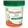 NATHURA Srl PSYLLOGEL FIBRA ARANCE ROSSE VASO 170 G