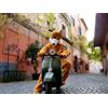 Smartbox Scopri Roma con Foxtrail: caccia al tesoro a Trastevere per 2 persone