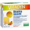 Phyto Garda Phytogarda Vitadyn - Ricarica Alkalino Integratore Alimentare, 14 bustine