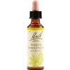 SCHWABE PHARMA ITALIA WHITE CHEST BACH ORIG 20 ML