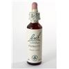 SCHWABE PHARMA ITALIA CLEMATIS BACH ORIG 20 ML