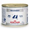 Royal Canin VETERINARY DIET WET DOG & CAT RECOVERY 195 G