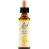 SCHWABE PHARMA ITALIA CERATO BACH ORIG 20 ML