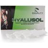 EQUALITY Hyalusol 10 Flaconi Monodose Da 8 Ml