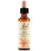 SCHWABE PHARMA ITALIA RED CHESTNUT BACH ORIG 20 ML