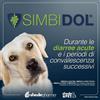 SHEDIR SIMBIDOL 20 BUSTINE