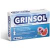 Biotrading GRINSOL 15 FIALE X 5 ML