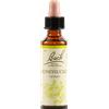 SCHWABE PHARMA ITALIA HONEYSUCKLE BACH ORIG 20 ML
