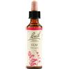 Schwabe Pharma ELM BACH ORIG 20 ML
