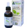 Alchimia Benoit CLOROFILLA BEN 50 ML