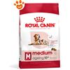 Royal Canin SHN Dog Medium Ageing 10+ - Sacco Da 4 Kg