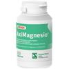 Pegaso Linea Benessere Aximagnesio Integratore 100 Compresse