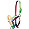 Tattini Equitazione Cavezza in nylon per puledro multicolore