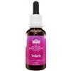 GREEN REMEDIES Solaris Australian Bush Flower Essences 30ml