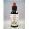 ADAMAH Eie Ribes Nero Gocce Integratore Drenante 60ml