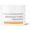 WALA ITALIA Dr. Hauschka Balsamo Per Le Labbra 4,5g