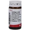 WALA ITALIA Wala Cartilago Compositum Globuli 20g