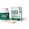 Innovet CONDROSTRESS + 60 COMPRESSE MASTICABILI