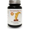 Farmabarocco CURCUMINASOL 185 30 CAPSULE
