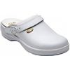 Scholl NEW BONUS UNPUNCHED BYCAST UNISEX REMOVABLE INSOLE BIANCO 41