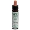 Santiveri Sa Ainsworths Chicory 10ml