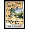 Pyramid International Leamington Spa Memorabilia, multicolore, 30 x 40 cm
