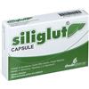 Shedir Pharma SILIGLUT 20 CAPSULE