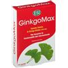 ESI GO UP GINKGOMAX 30 OVALETTE DA 800 MG