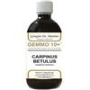 Dr. Giorgini GEMMO 10+ CARPINO BIANCO 500 ML LIQUIDO ANALCOLICO