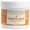 Erbavoglio XANTANO GOMMA 200 G