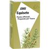 Salus Haus EQUISETO TISANA 15 FILTRI