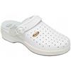 Scholl NEW BONUS PUNCHED BYCAST UNISEX REMOVABLE INSOLE BIANCO 36