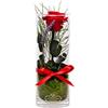 Rosen-Te-Amo | regalo festa della Mamma | rosa stabilizzata vera profumata con stelo in vaso per fiori in vetro | scatola dal design raffinato || Composizioni artigianali rosa eterna| regalo donna