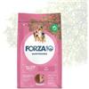 FORZA 10 ALL SIZE ADULT MAINTENANCE MAIALE KG 12