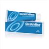 Farma-derma Cicatridina Pomata Acido Ialuronico Sale Sodico 2%, 60g
