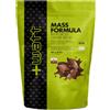 +WATT MASS FORMULA REINFORCED GAINER BLEND BUSTA 907 GRAMMI