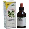 HERBOPLANET Srl HS109 UVA URSINA COMP 100ML