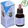 HERBOPLANET Srl MSA CRATAEGUS OXYACA 50ML
