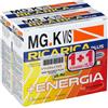 Pool Pharma MGK VIS RICARICA PLUS 14 BUSTINE + 14 BUSTINE