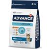 Advance Adult - Cibo per Gatti Adulti con Pollo e Riso - 3kg