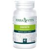 Erba Vita Equiseto integratore per unghie e capelli 125 tavolette