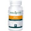 Erba Vita Mirtillo per circolazione, vista e intestino 100 Perle
