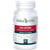 Erba Vita Uva Ursina integratore per le vie urinarie 60 capsule