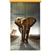 Ag Design Tende - Elefante - Stampa Foto 3D - 140 x 245 cm - 1 Parte - FCSL 7507
