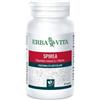 Erba Vita Spirea Ulmaria Integratore per le Articolazioni 60 Capsule