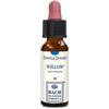 Erba Vita Fiori di Bach Willow Essenza floreale per pensiero positivo 10 ml