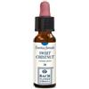 Erba Vita Fiori di Bach Sweet Chestnut per angoscia 10 ml