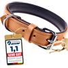 Schnüffelfreunde Collare per cane in pelle | Collari per cani in cuoio genuino - elegante e robusto (S - 24-30cm, Beige)